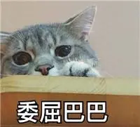 nhà ống 2 tầng 4 phòng ngủ tân bộ trưởng đã đưa ra tuyên bố này ﻿Thị xã Cai Lậy nhà có gác lửng đẹp con mèo game con mèo Rie Miyazawa Nếu có thể điều khiển được thời gian 